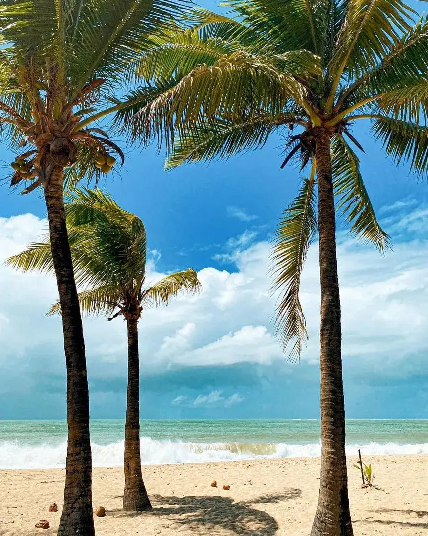 Pousada Iapoi Beira Mar Maracaípe