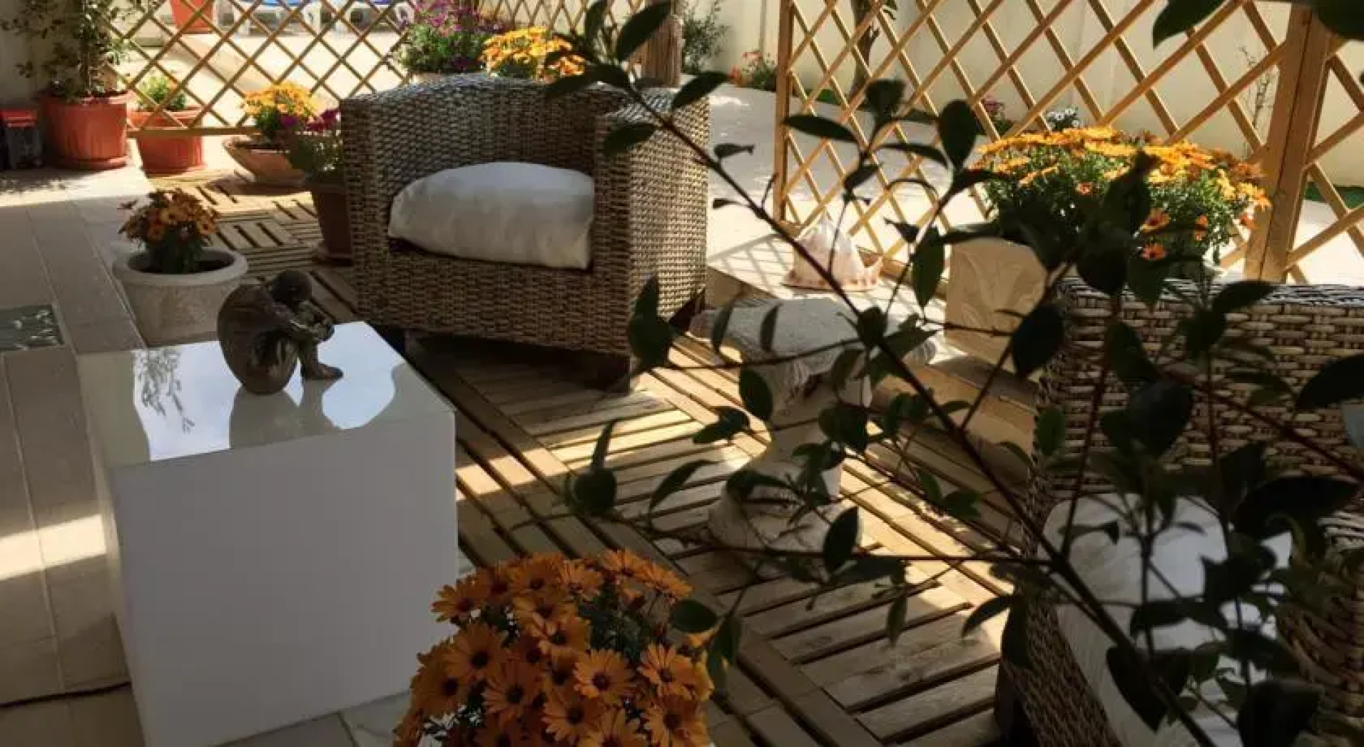 Studio Cascais