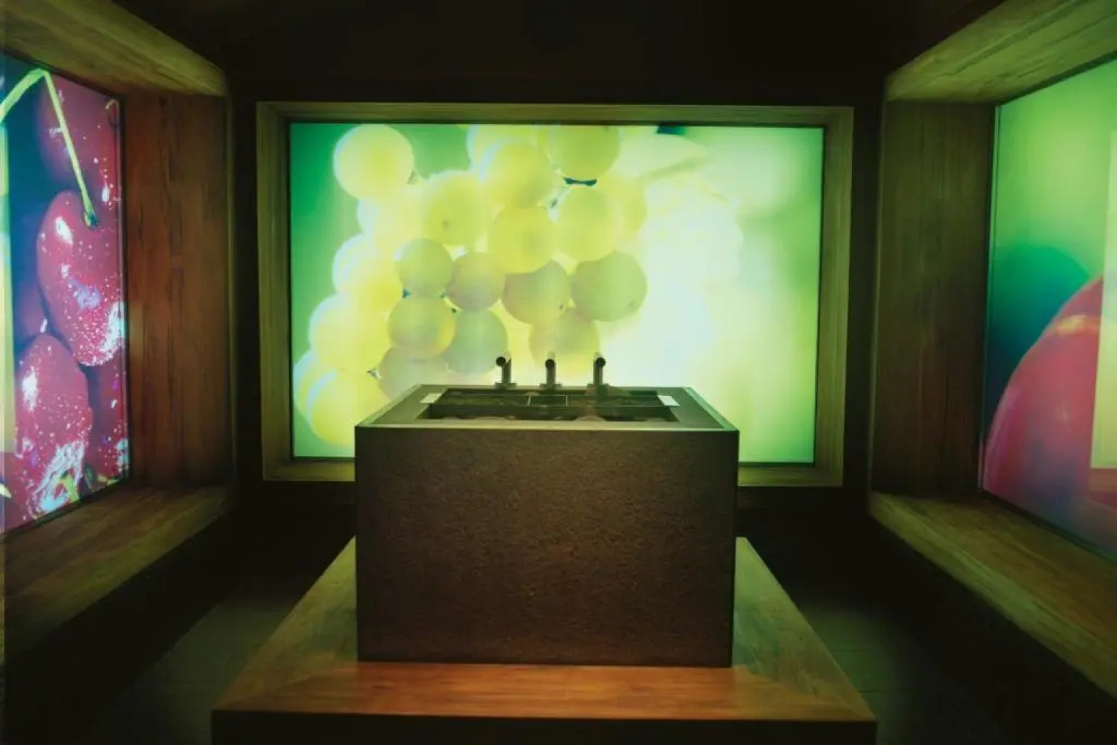 Hotel Toplice - Terme Krka