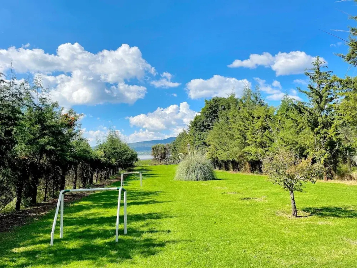 Sandunga Lago Tzintzuntzan