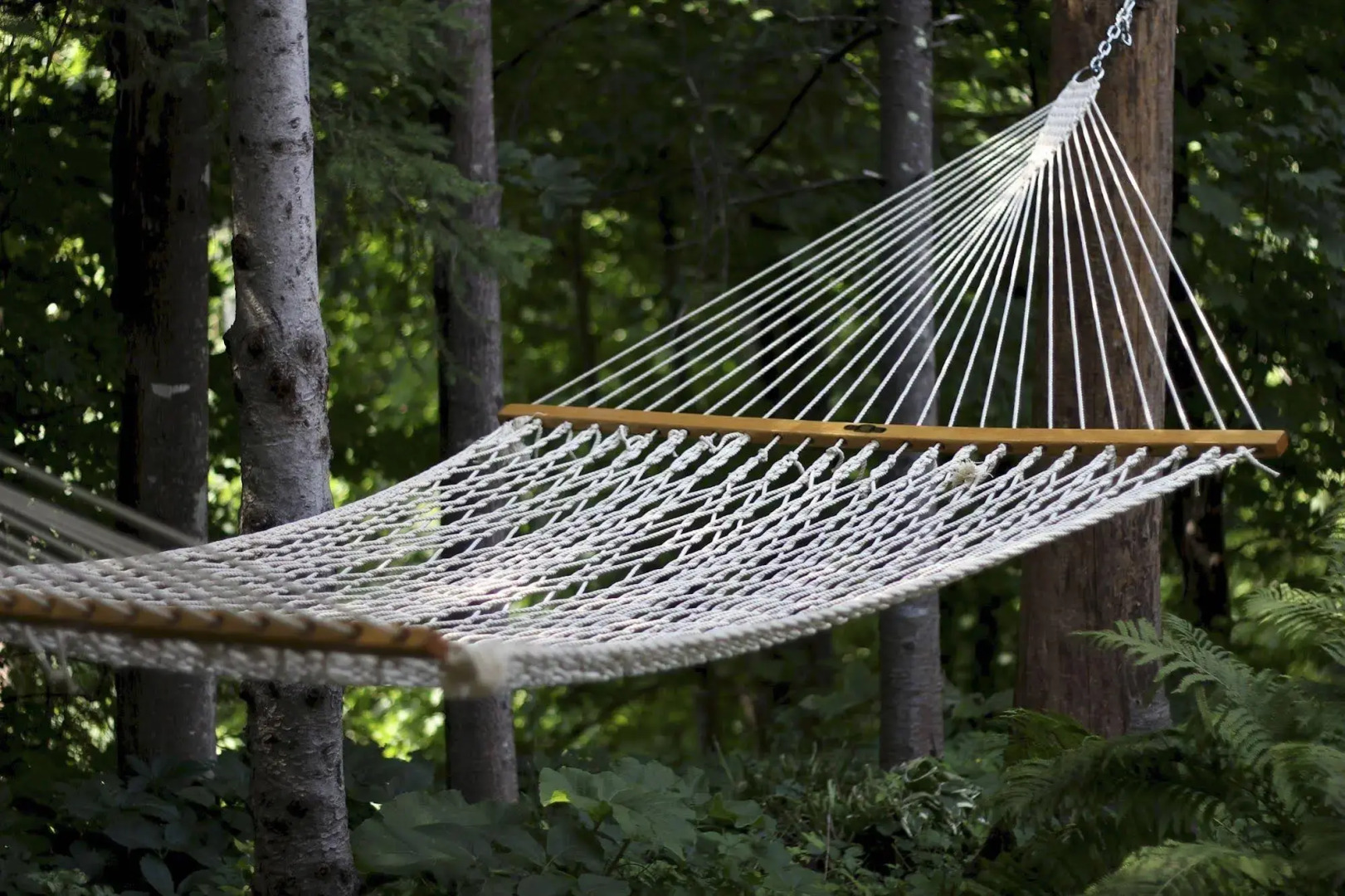 Auberge Le Lupin B&B