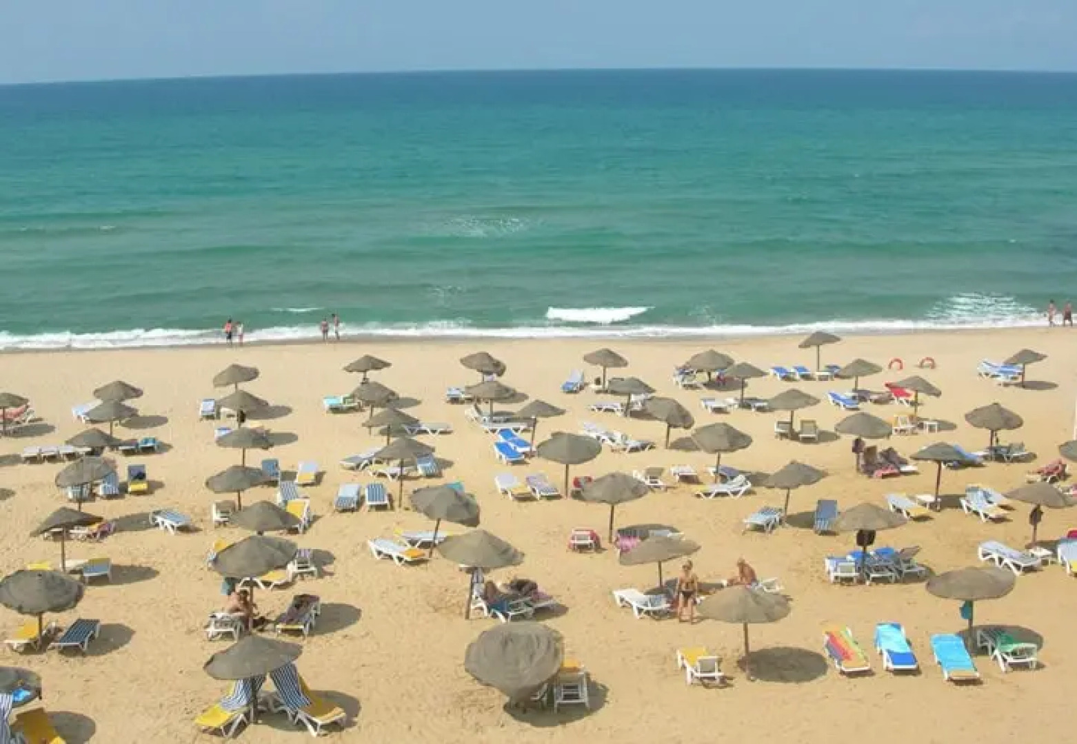 Golden Yasmin Mehari Tabarka