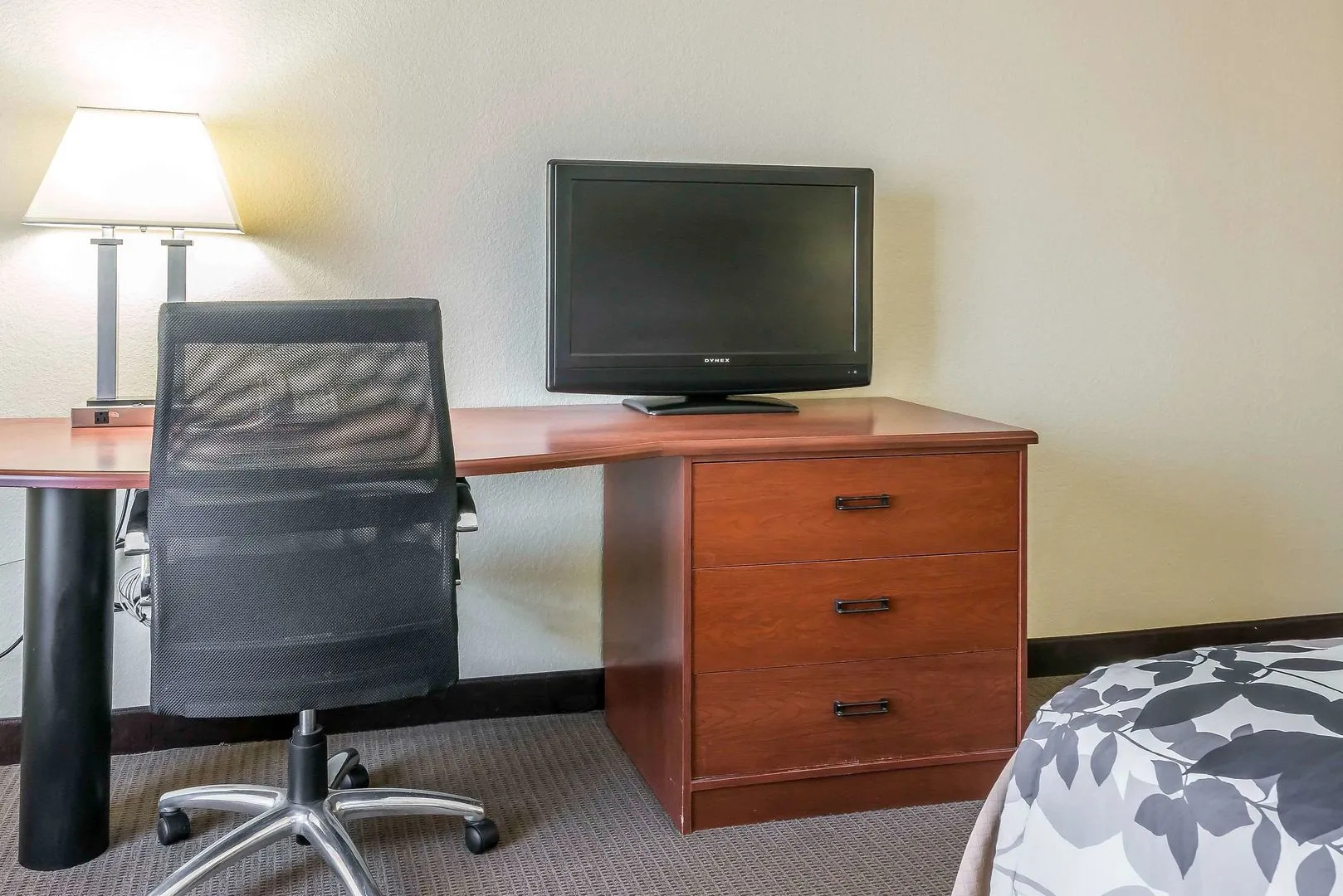 Sleep Inn & Suites University/Shands