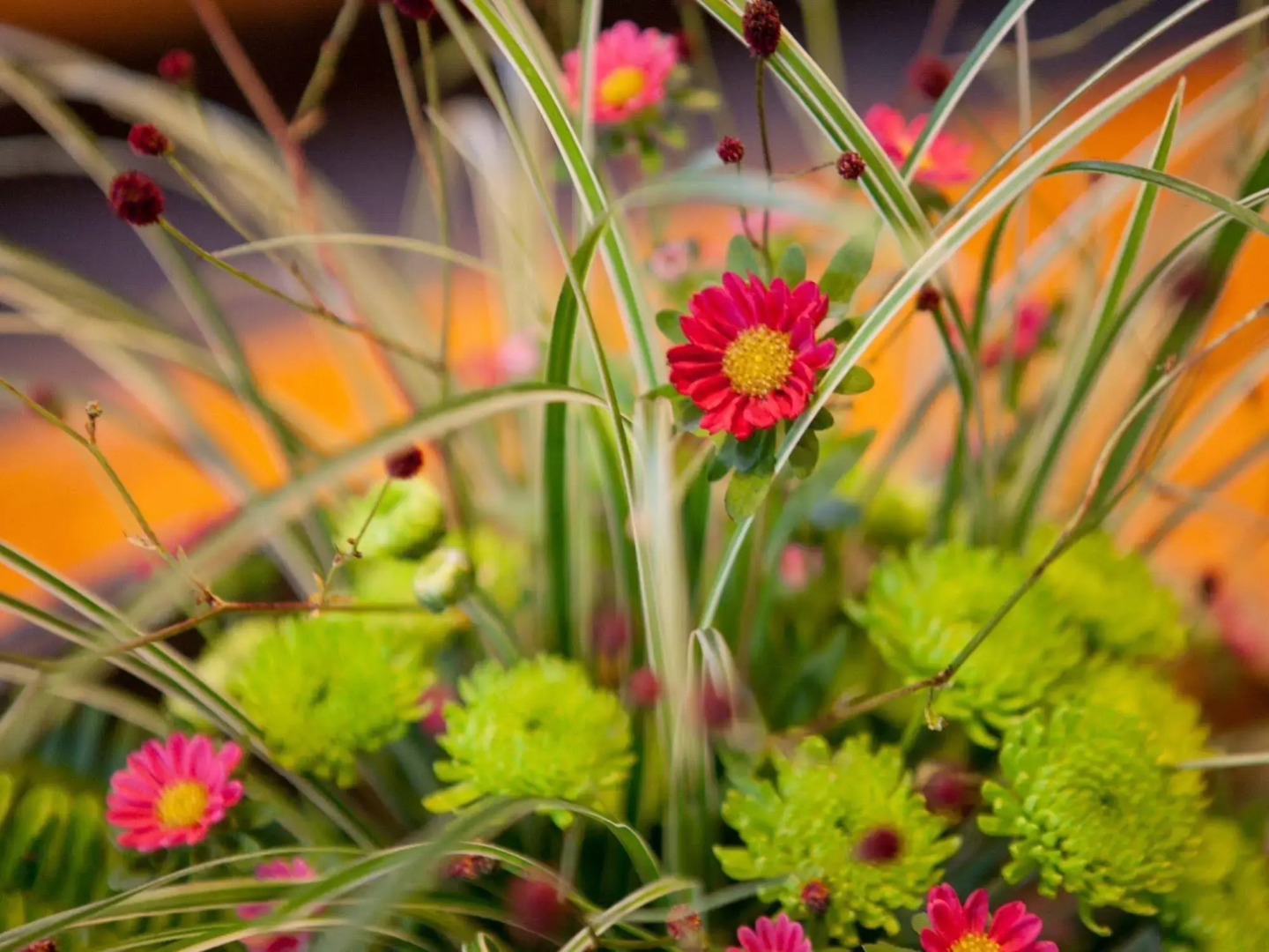 Ryoso Yufuin Yamadaya