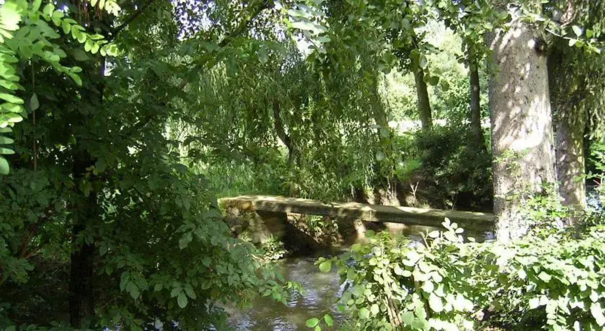 Öreg Fenyő Vendégház