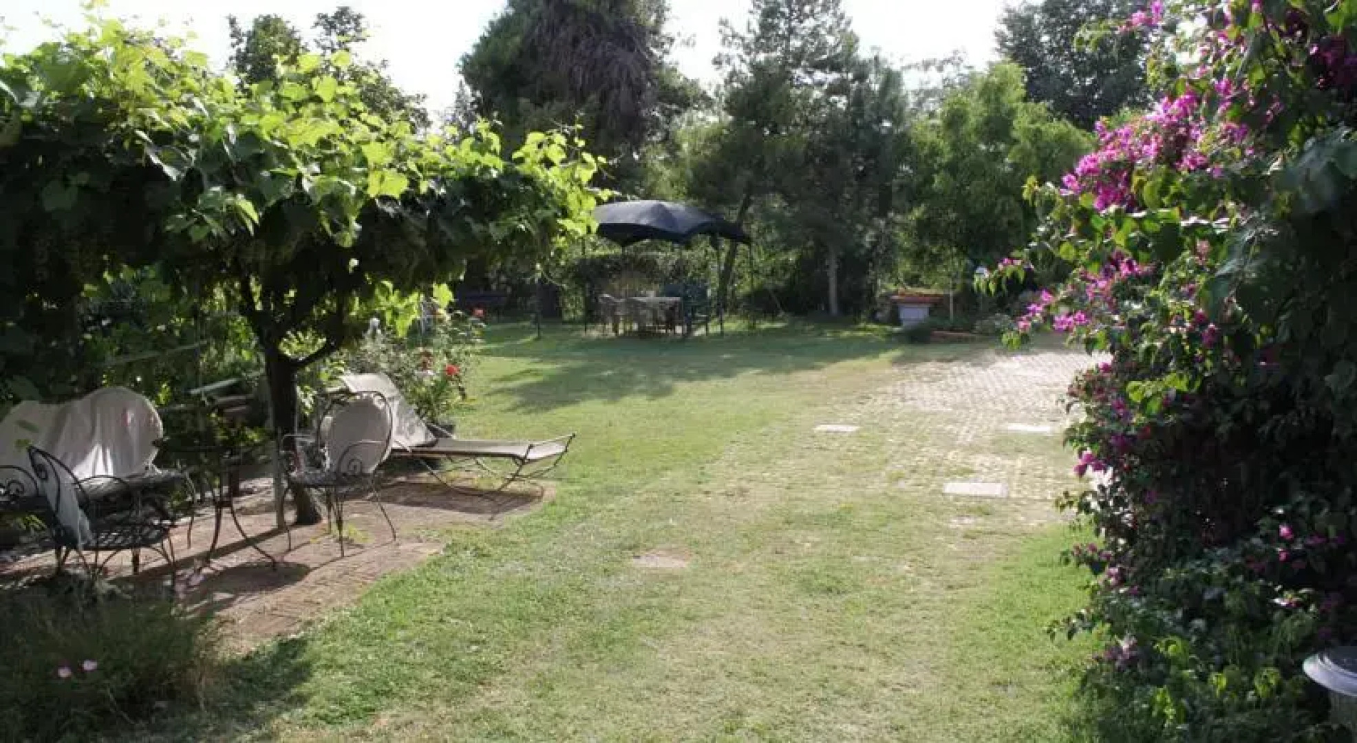 Bed and Breakfast Lola