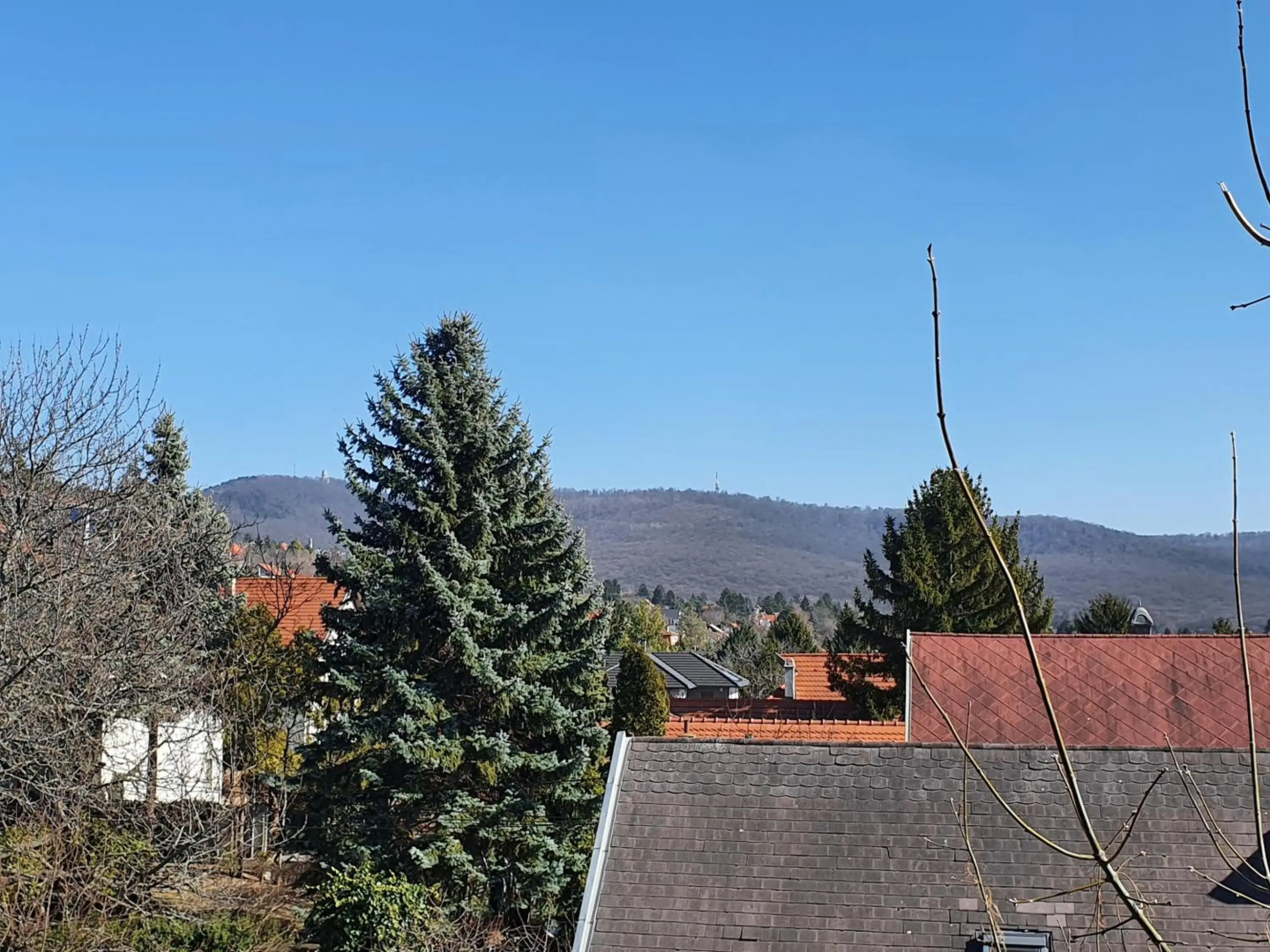 Zöld Relax Apartments