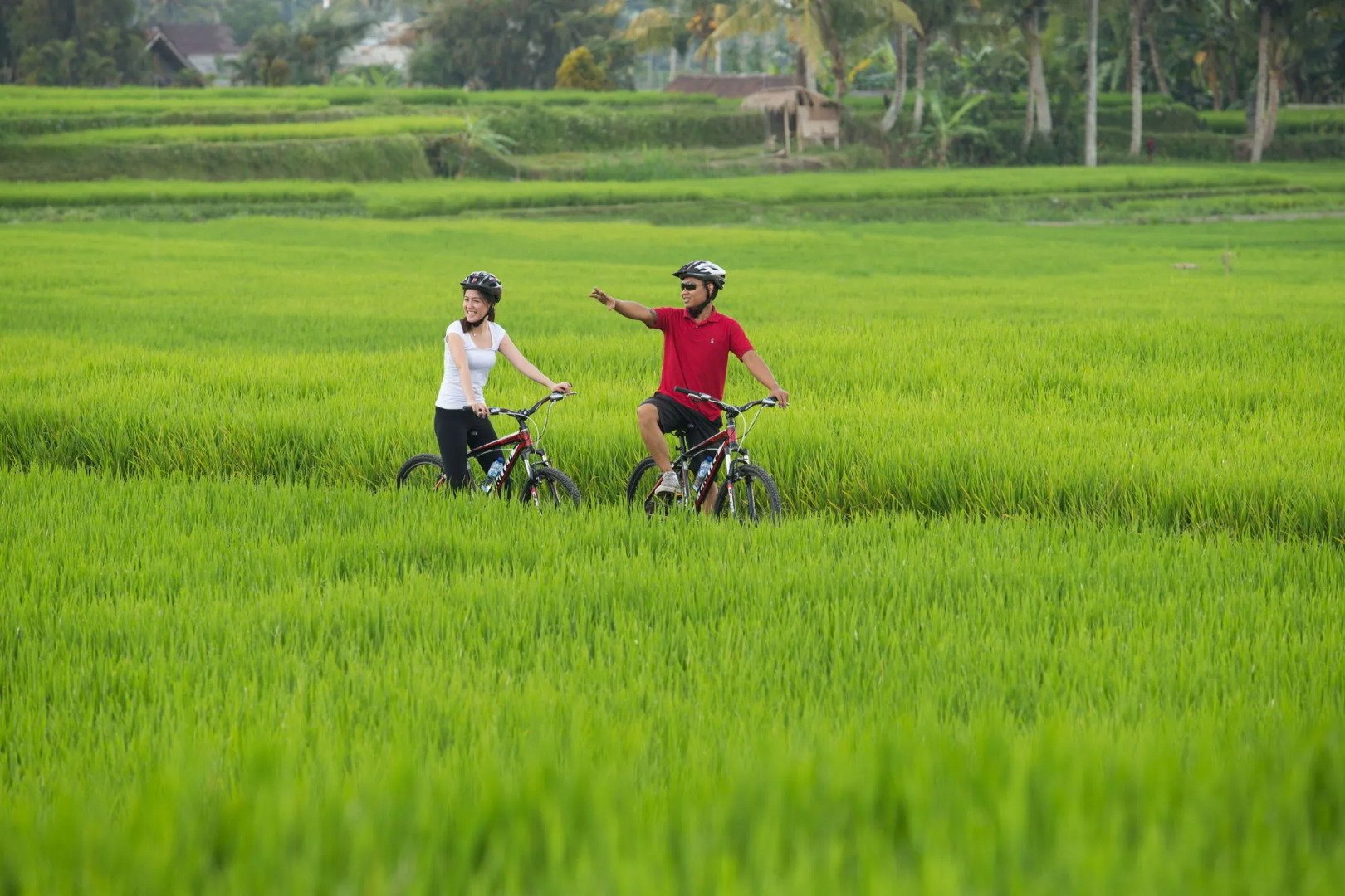 Отель Dwaraka The Royal Villas