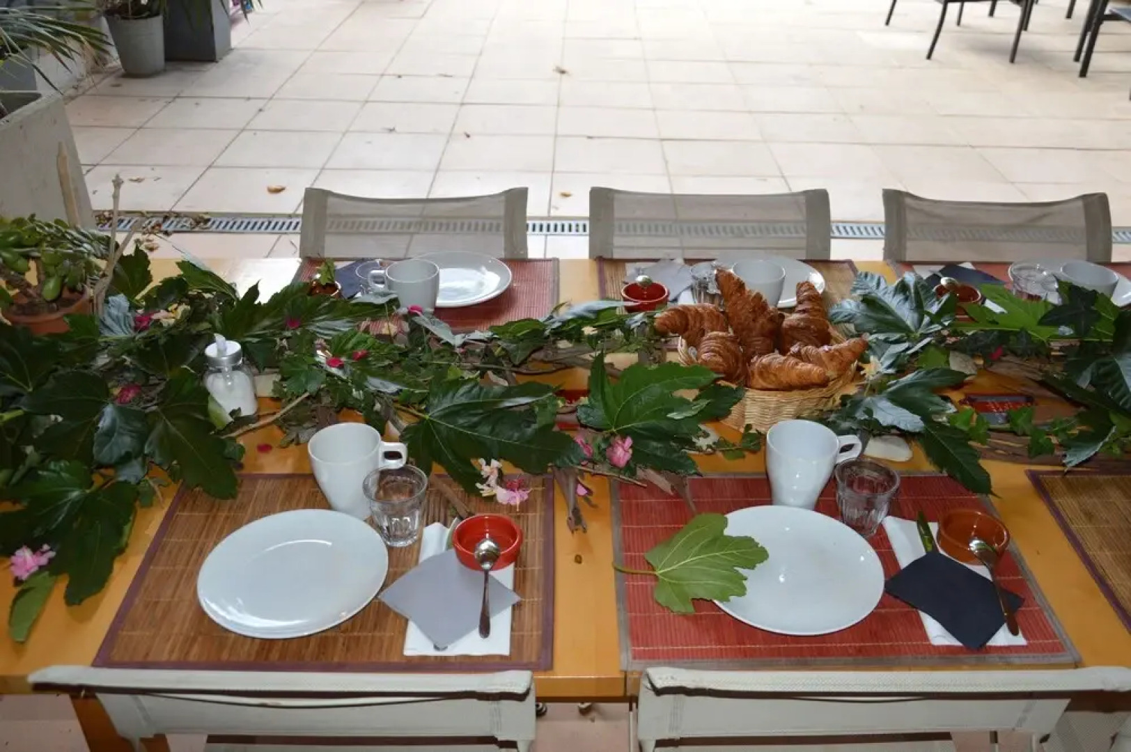 Gite Le Vieux Platane