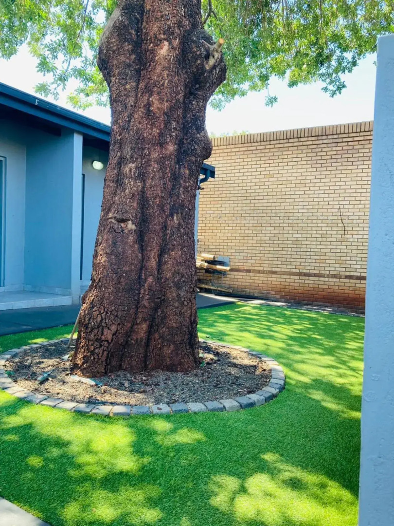 President Guest Lodge