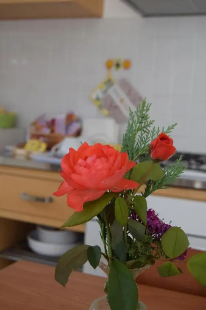 Casa Vacanza e per lavoro Tessyhouse