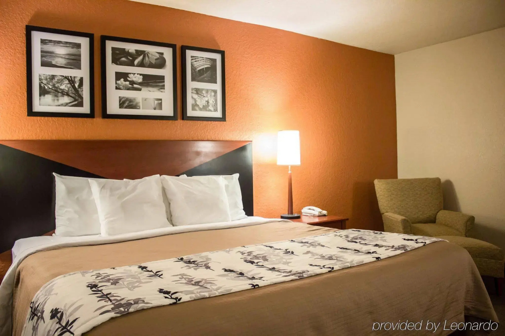 Sleep Inn and Suites - Ocala / Belleview