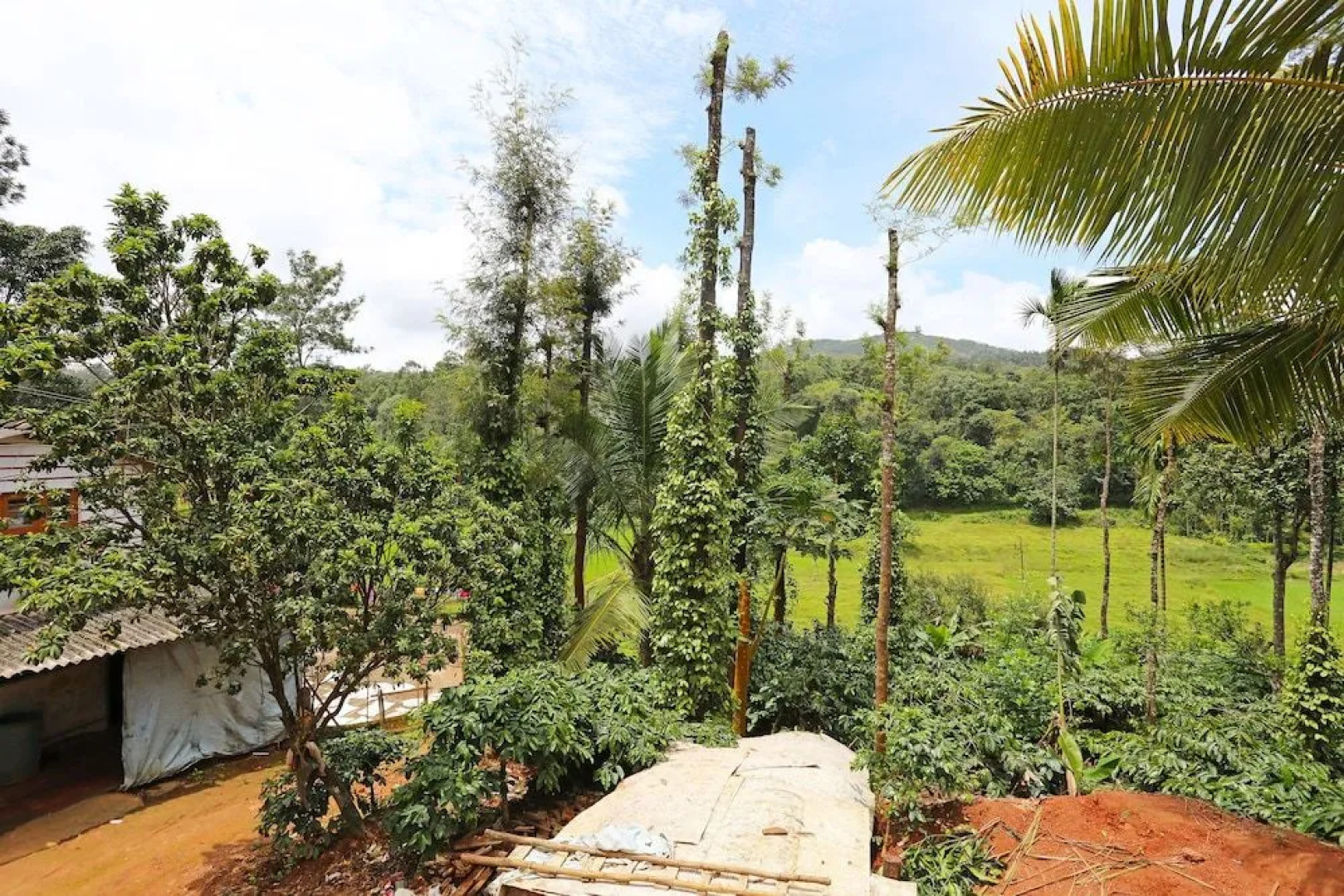 OYO 9374 Home Picturesque Stay Hoskeri