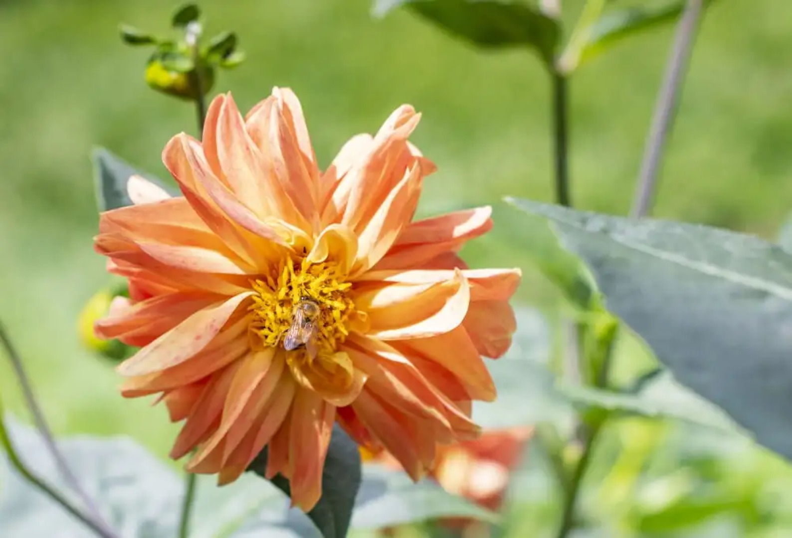 Tucurinca Hotel & Spa