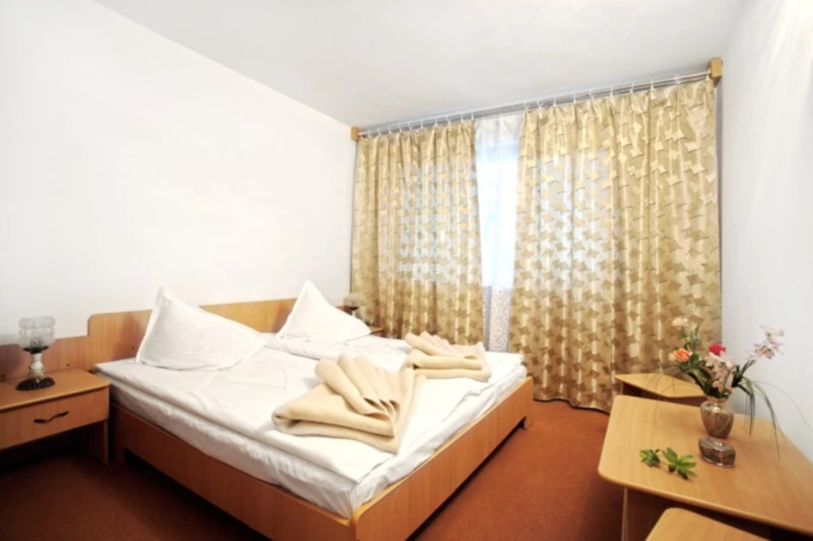 Hotel Montana - Covasna