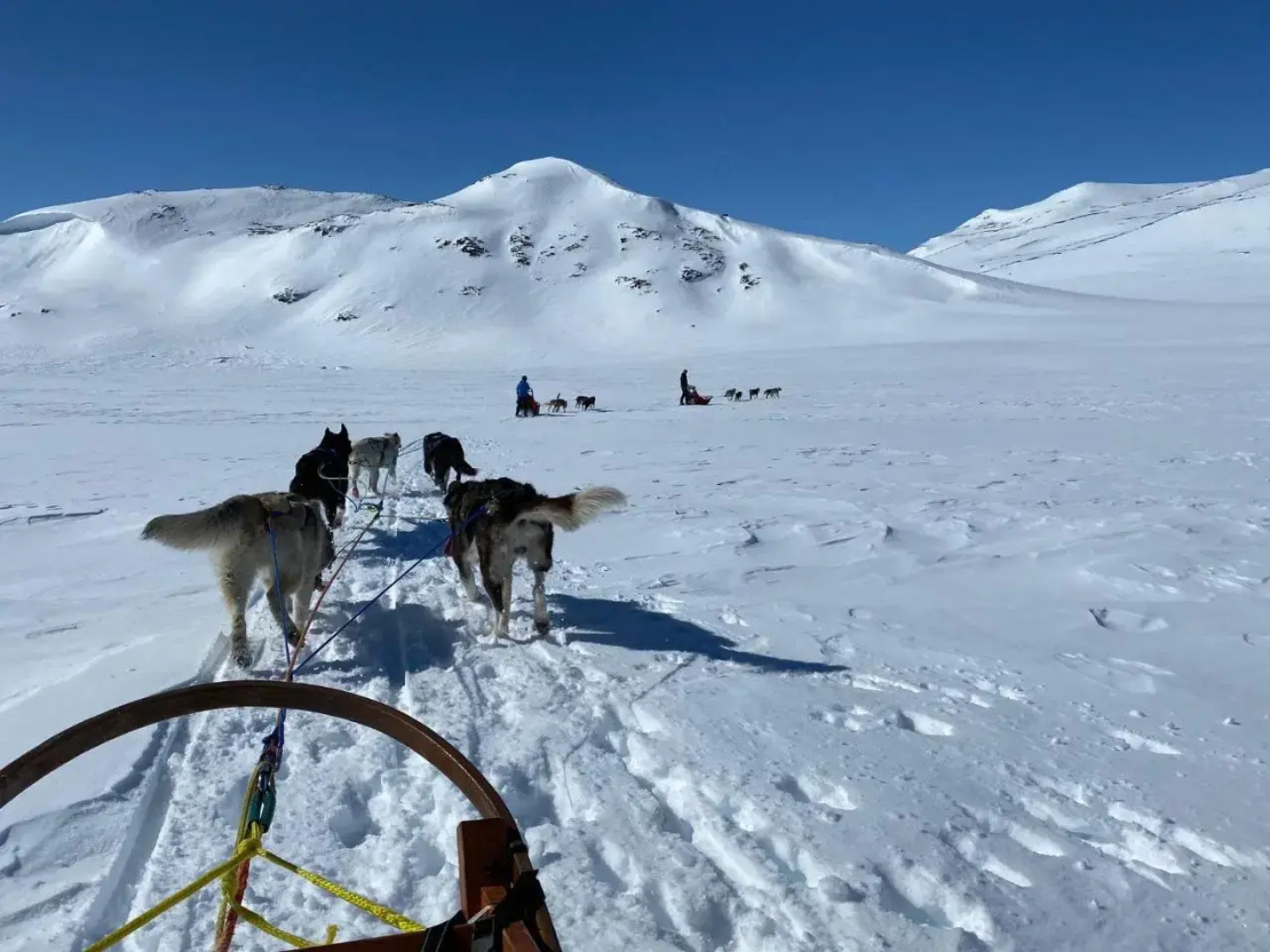 Jotunheimen Husky Lodge
