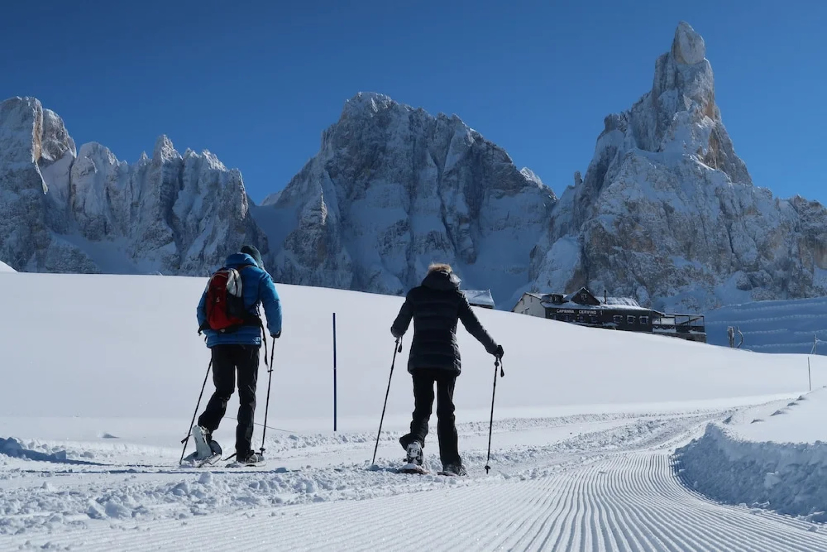 Color Home Suite Apartments