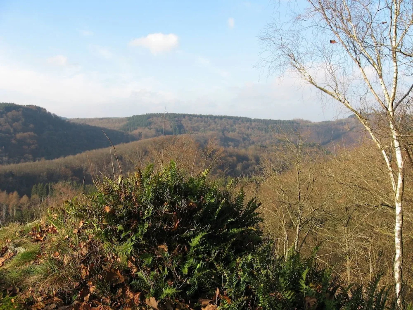 Comfy Holiday Home With Garden, Garden Furniture, Heating