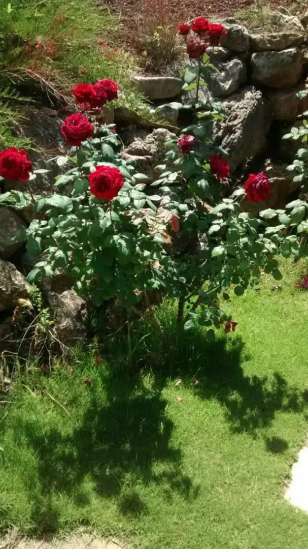 Sicilia Tra Cielo E Mare