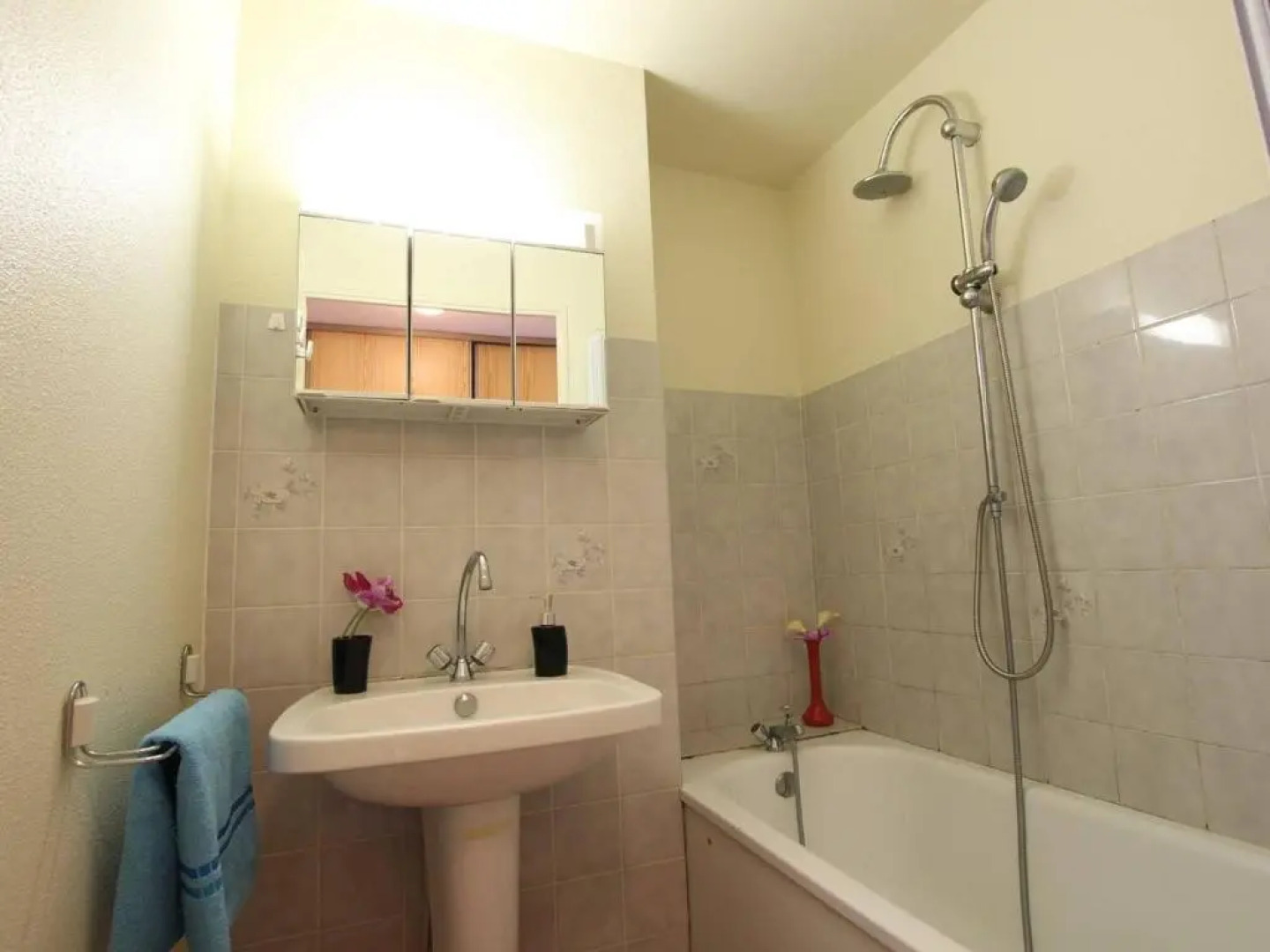 Appartement Vallouise-La Casse, 2 pièces, 6 personnes - FR-1-330G-38