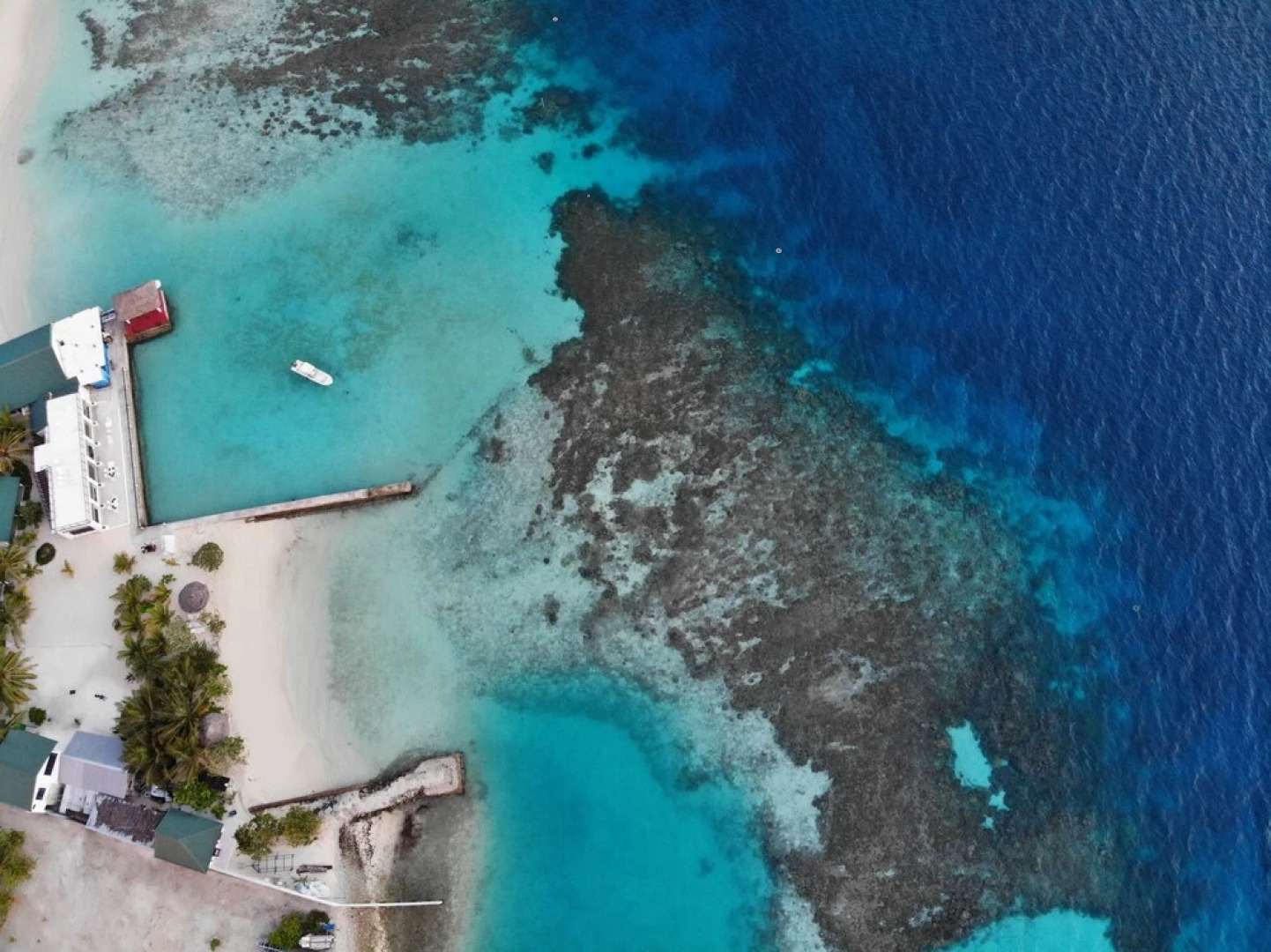 Lagoon View Maldives