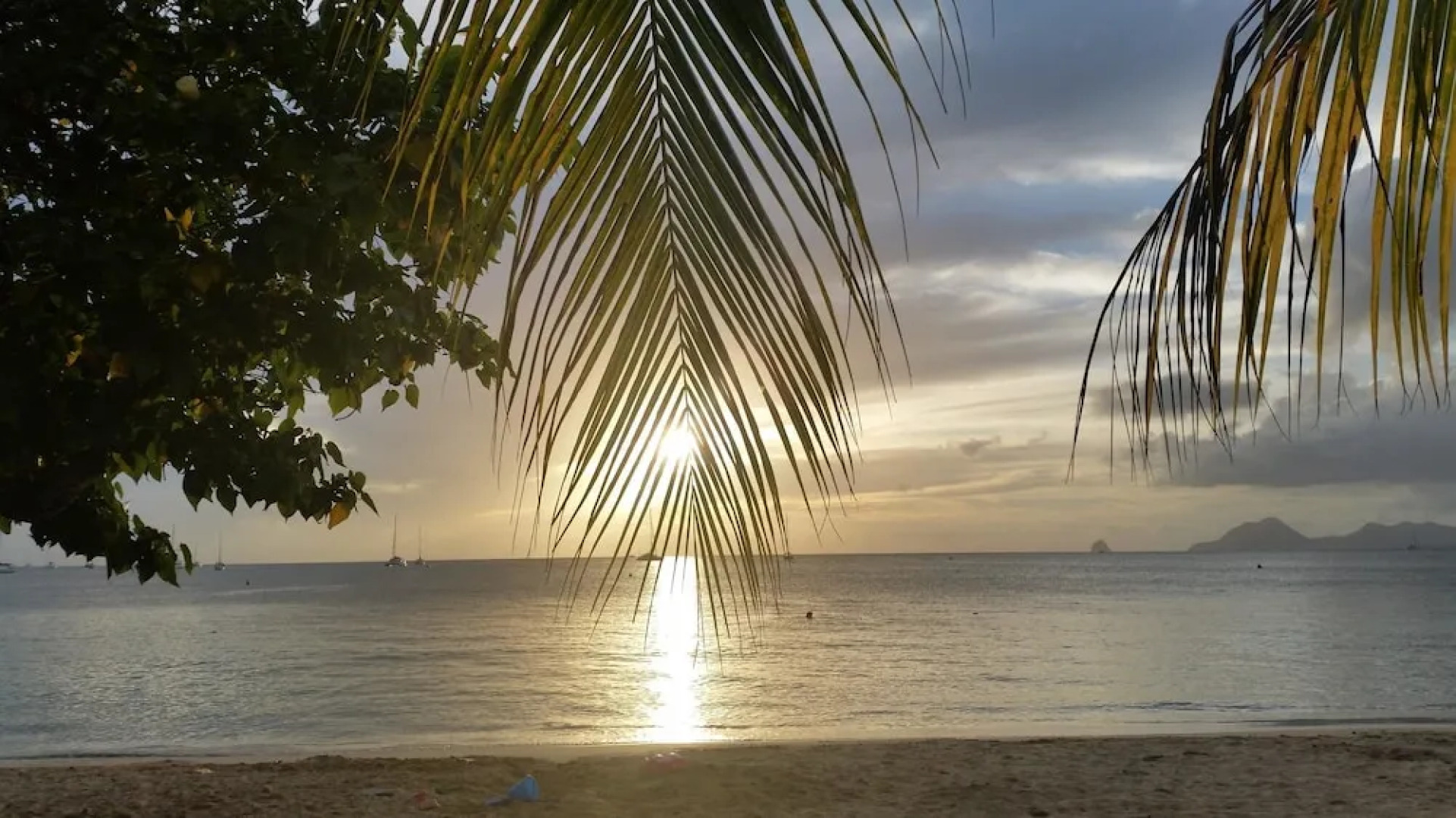 Studio in Sainte-anne, With Wonderful sea View, Furnished Terrace and