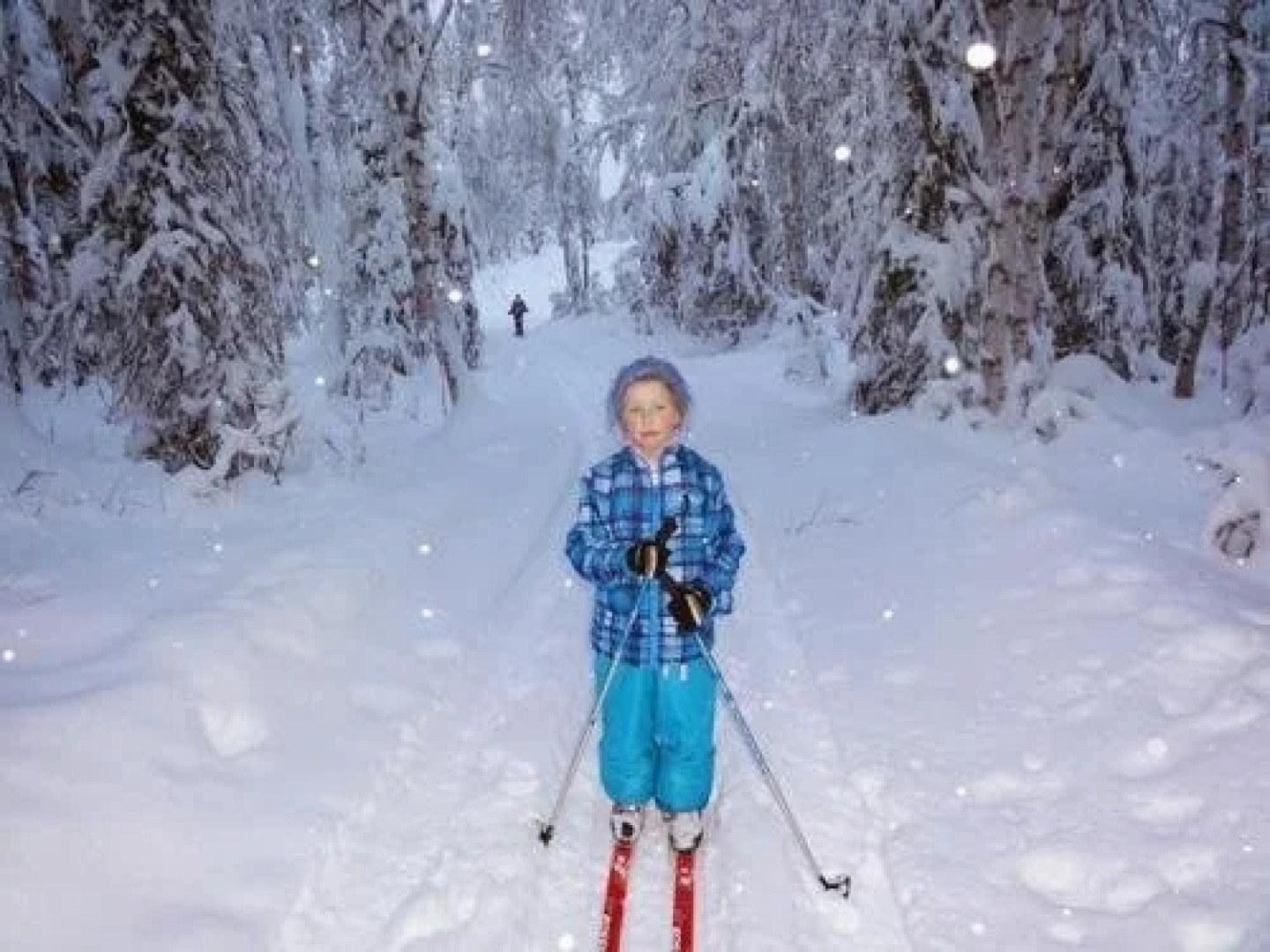 Alaskan Host Bed and Breakfast