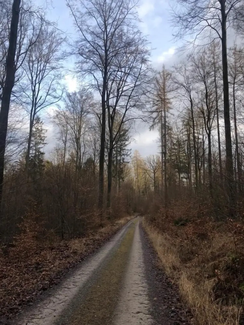 Serways Hotel Spessart Süd