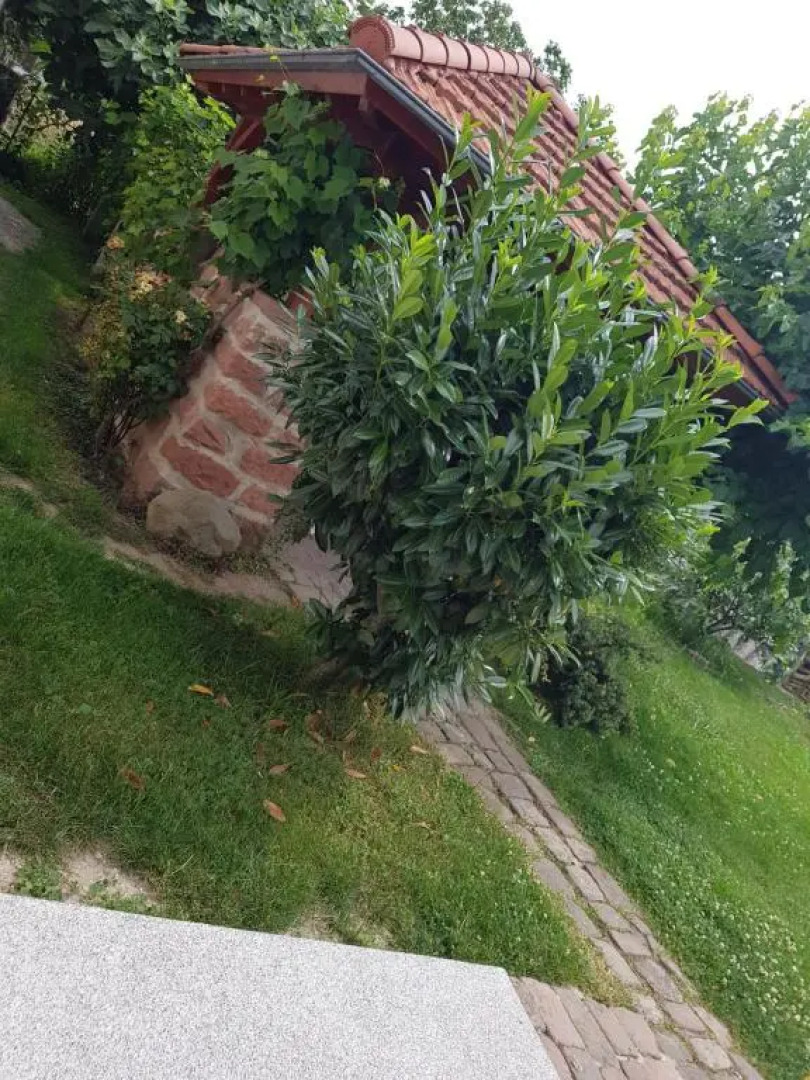 Ferienwohnung an der Unditz 2