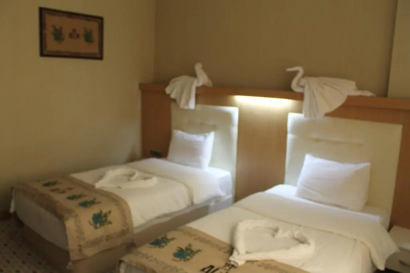 Grand Ali'n Hotel Turhal