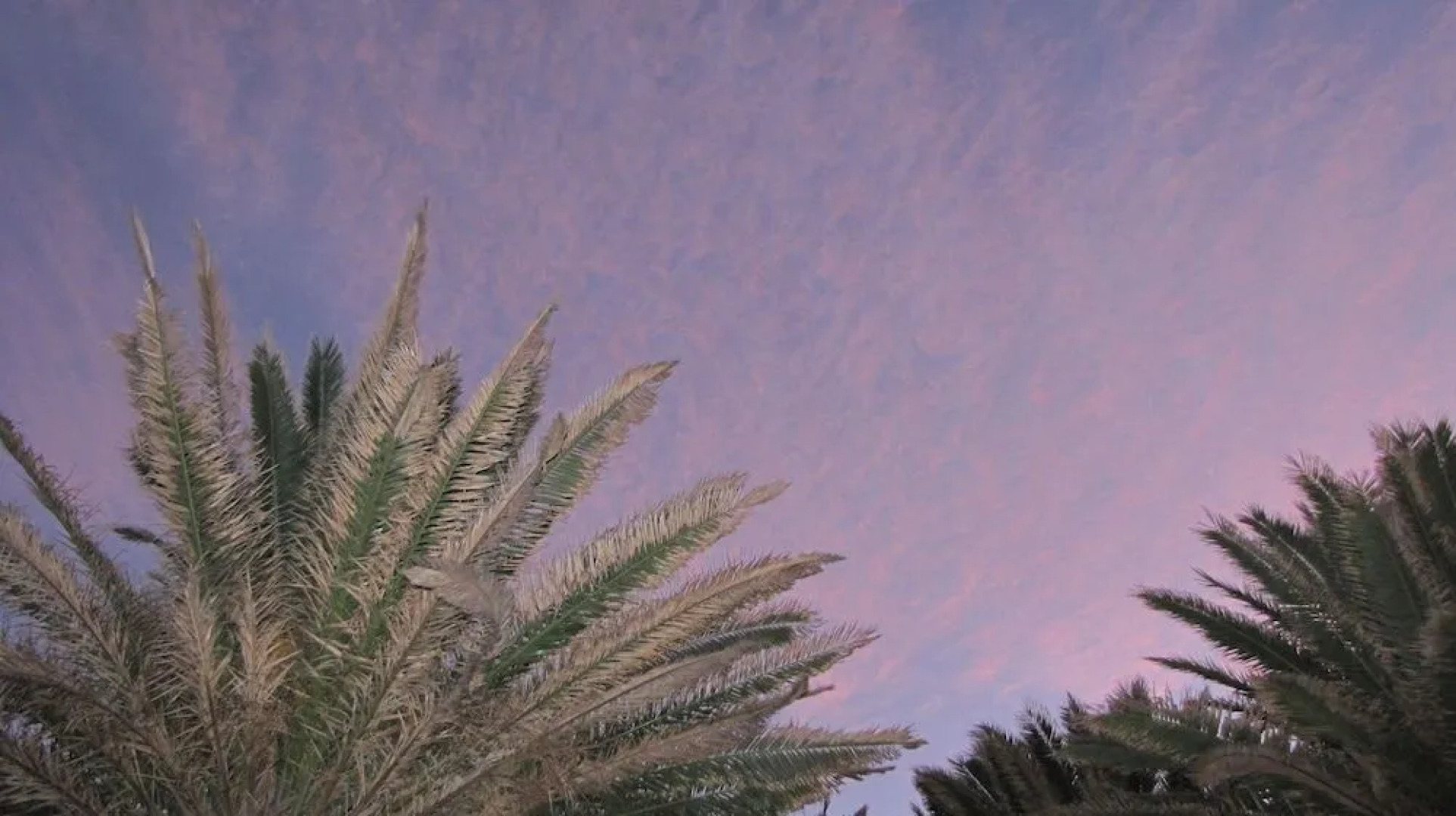 Ca' Artú Guesthouse