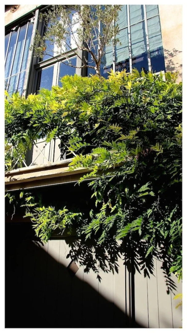 L'appartement de l'Atelier d'artiste