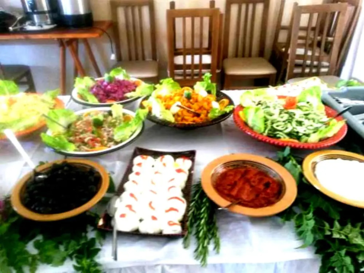 Ecolodge Dar Zitouna