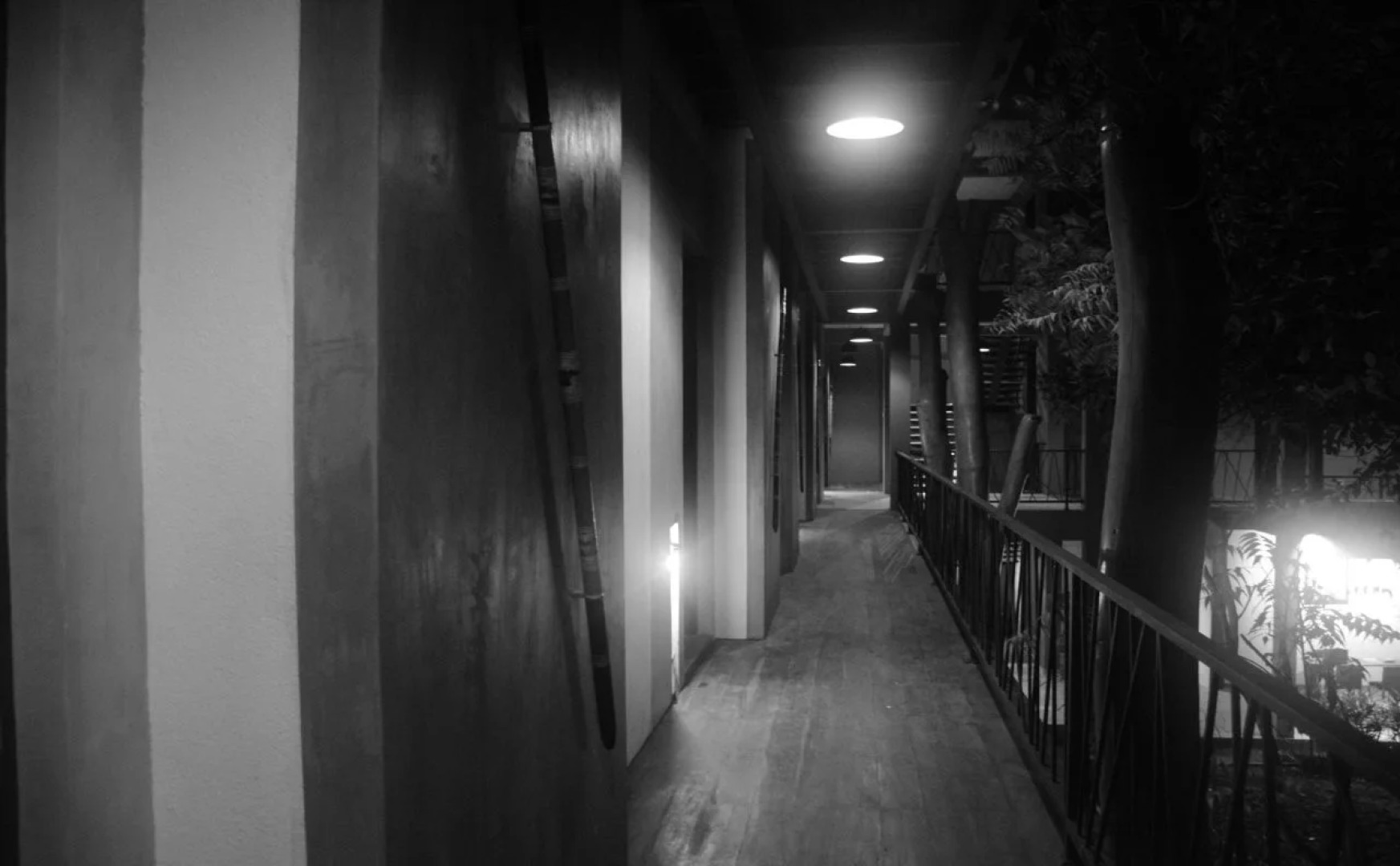 Royal Tusker Udawalawa