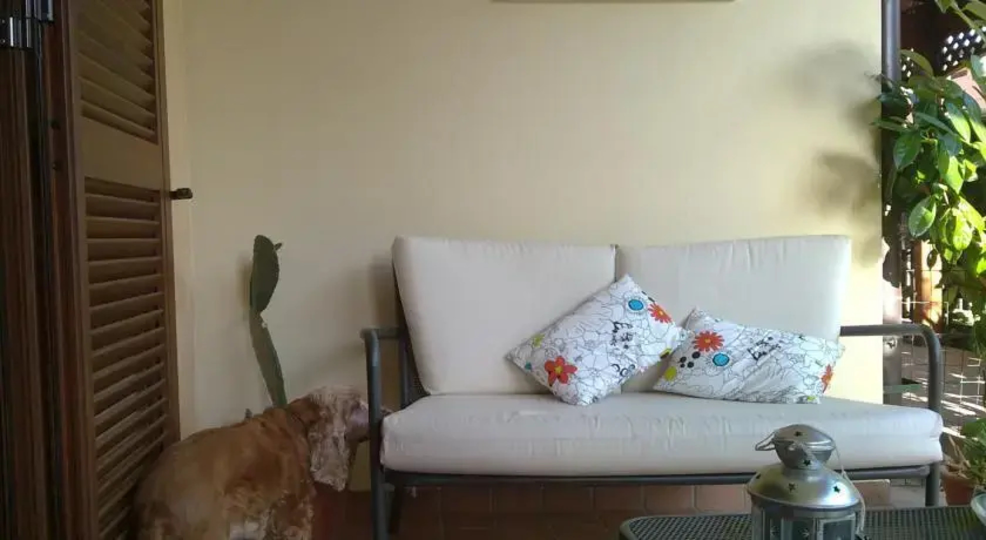 Villetta con giardino