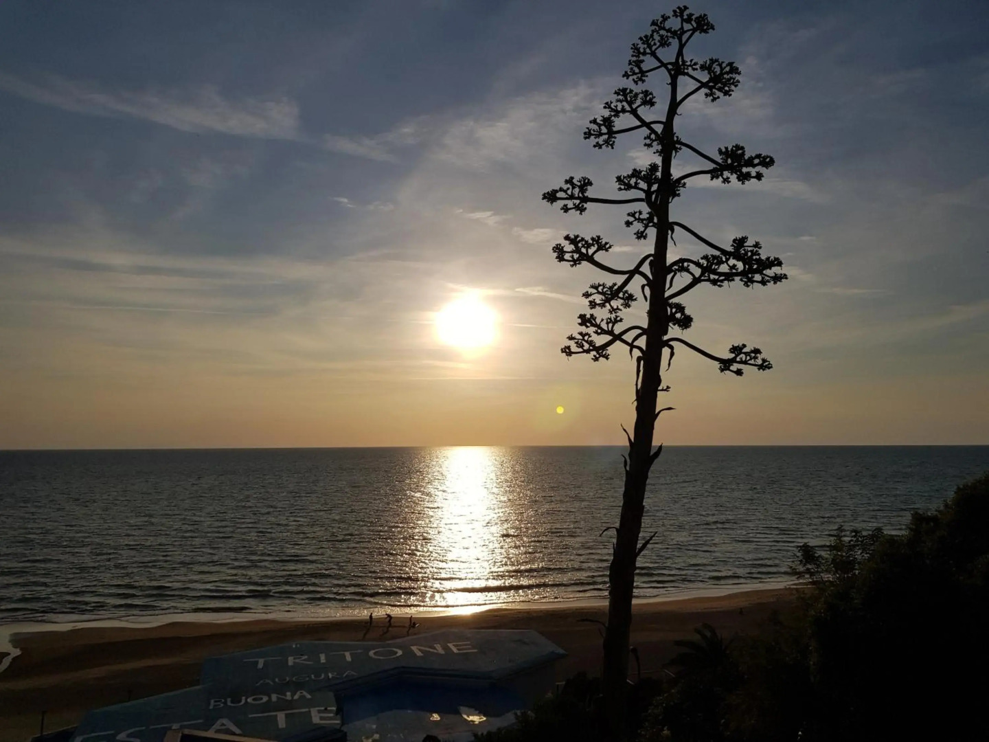 Poggio degli Oleandri