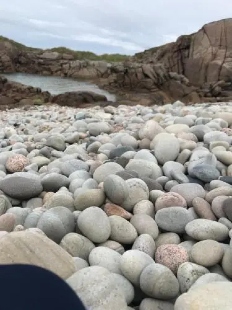 The Village Way Apartments