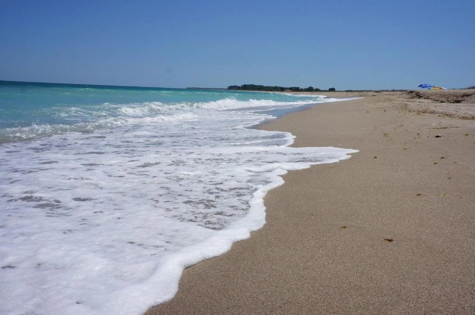 Guest House Golden Flake