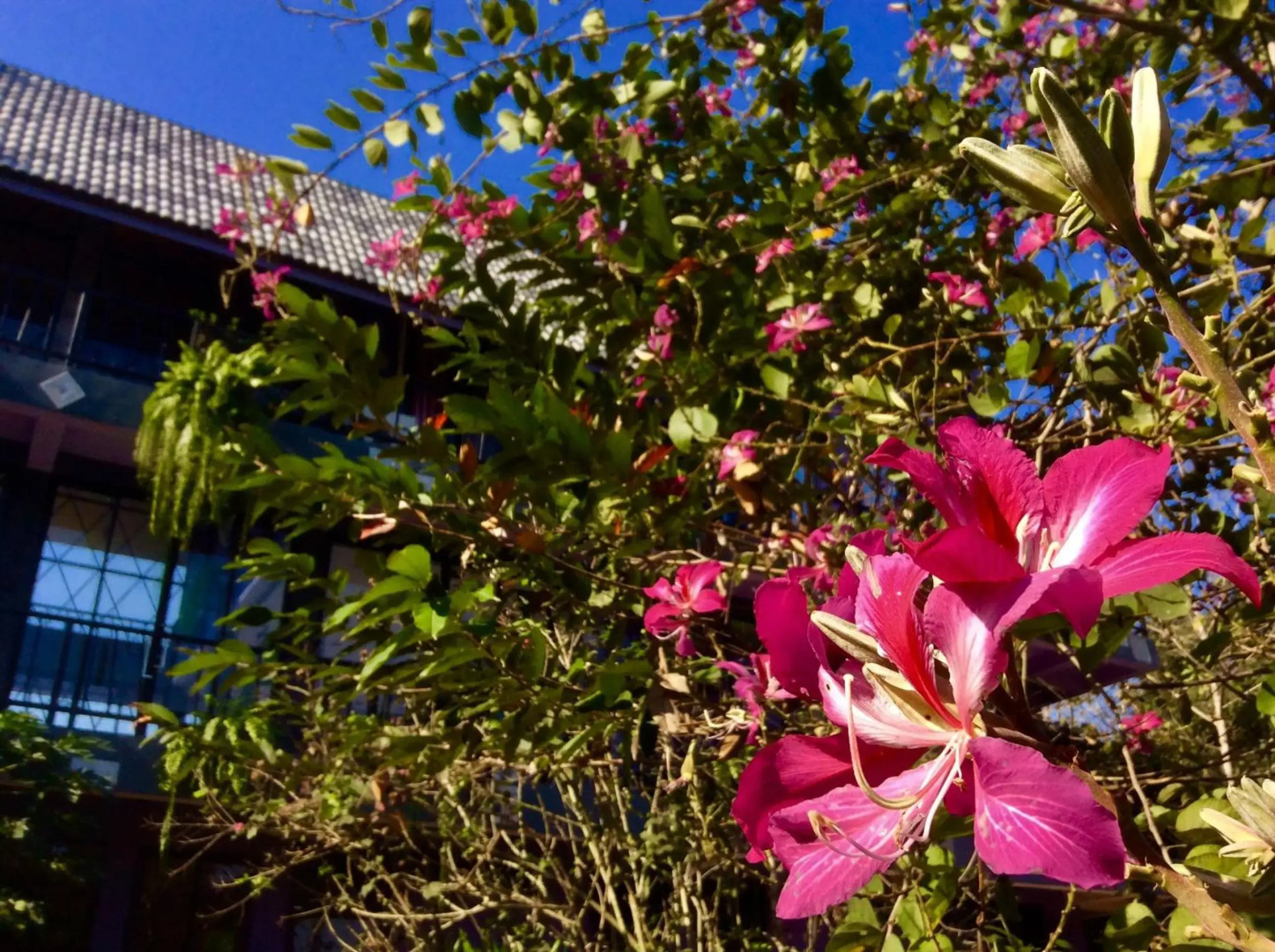 Pupiang Po Da Arte Resort