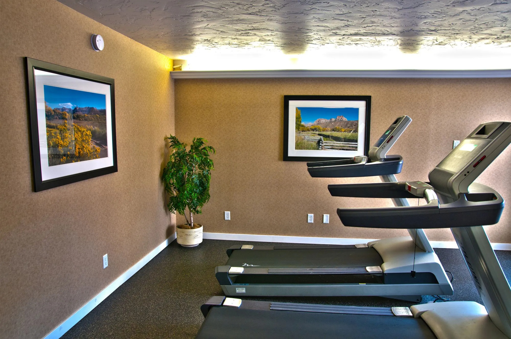 Best Western Town and Country Inn