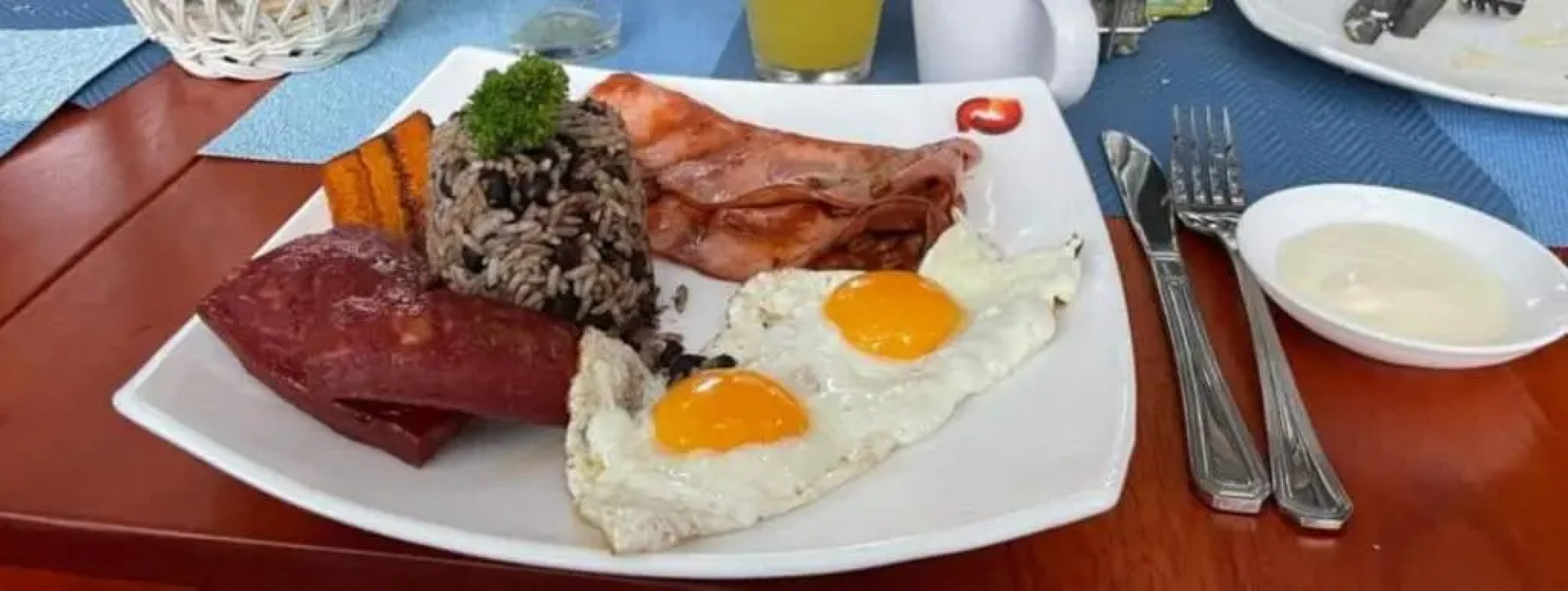 Aracari Garden Hostel