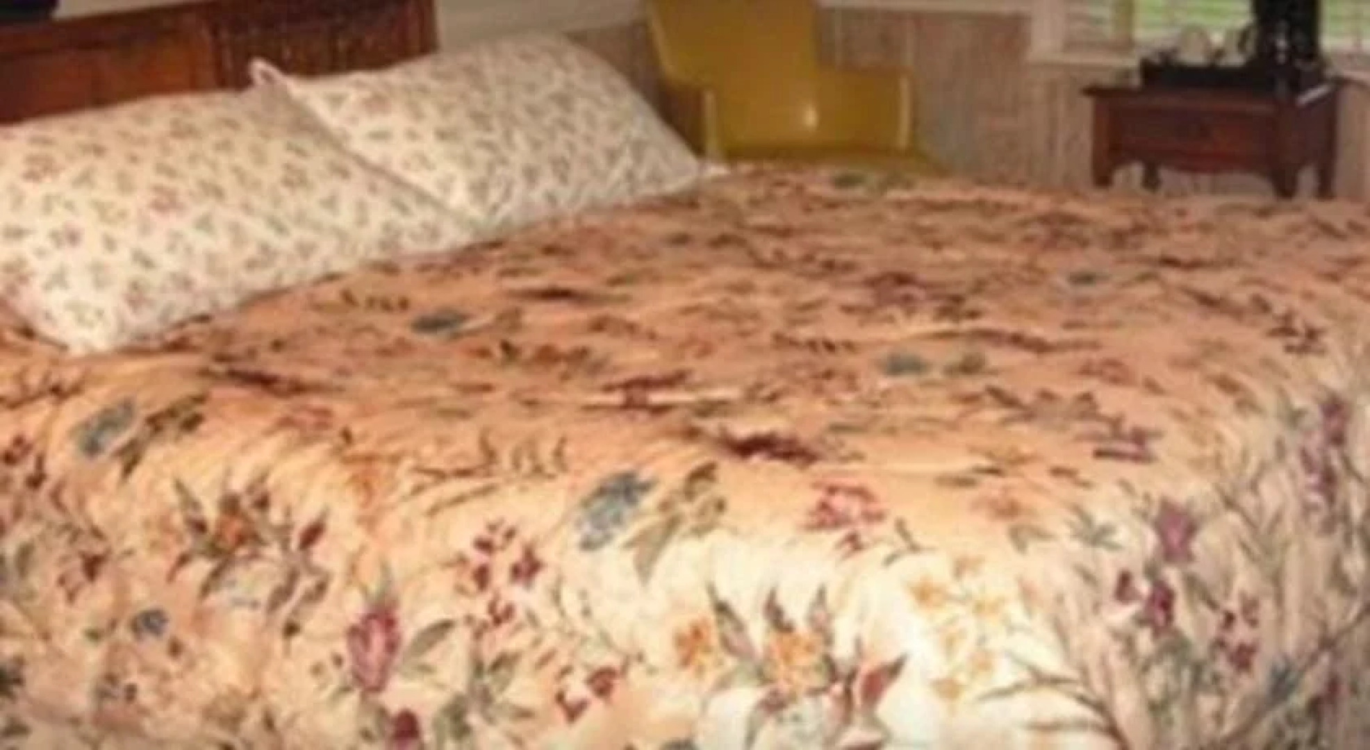 Cannon Mountain View Motel