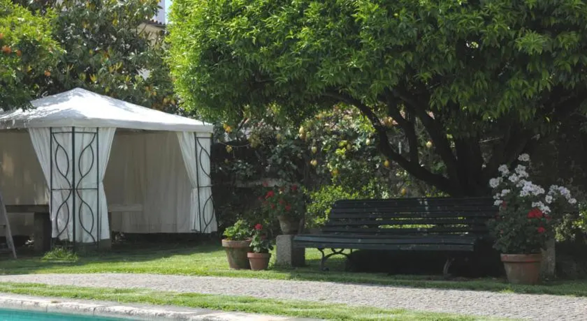 Casa do Pinheiro - Turismo de Habitação