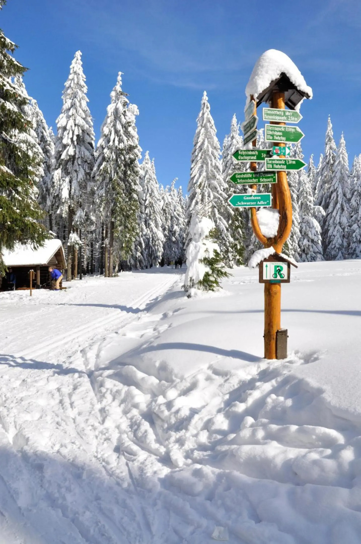 Waldhotel Rennsteighof