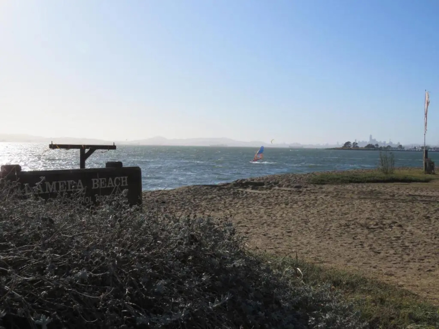 Lower Level Flat in 1885 Queen Anne Cottage
