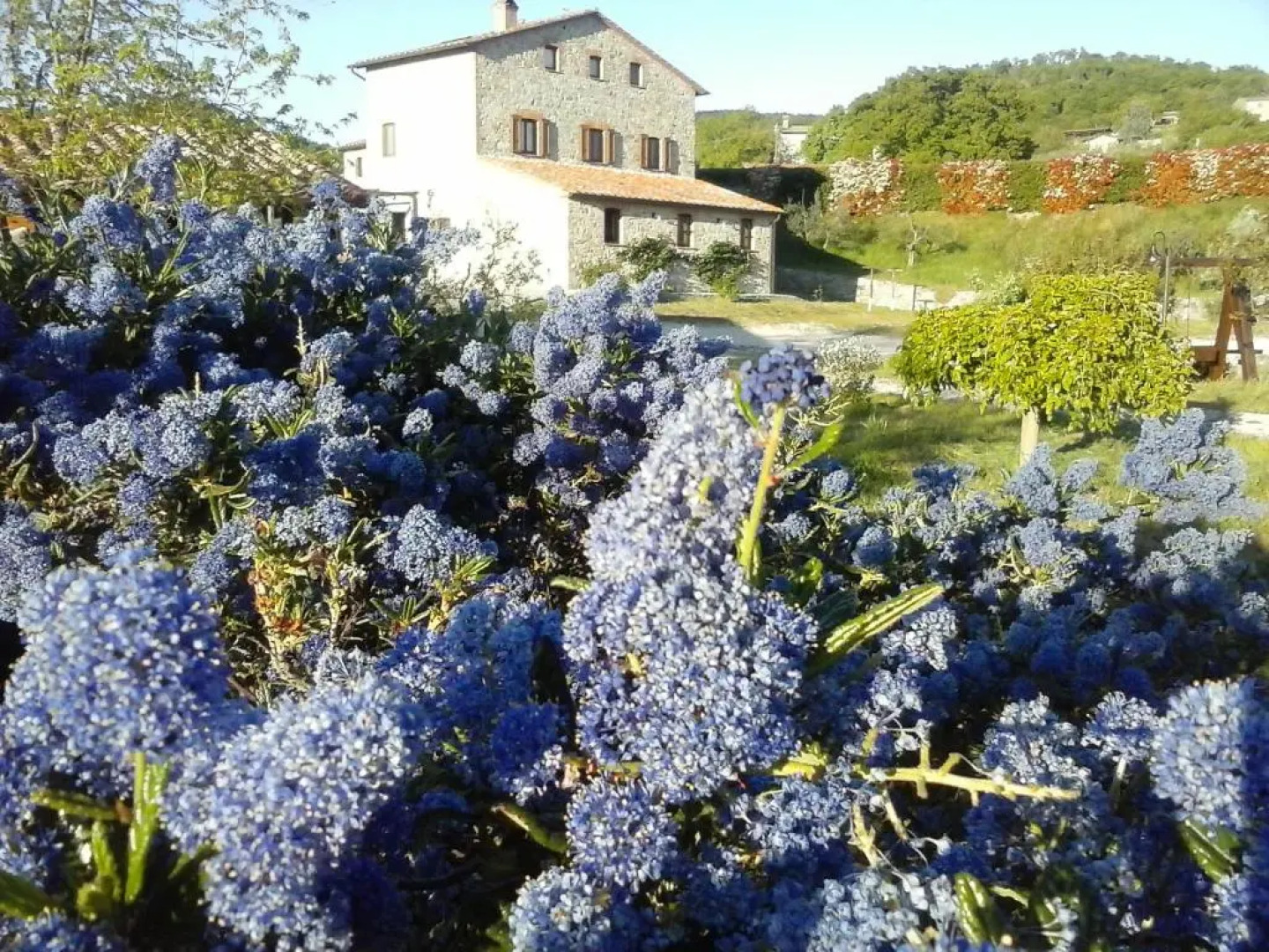 Agriturismo Valiana