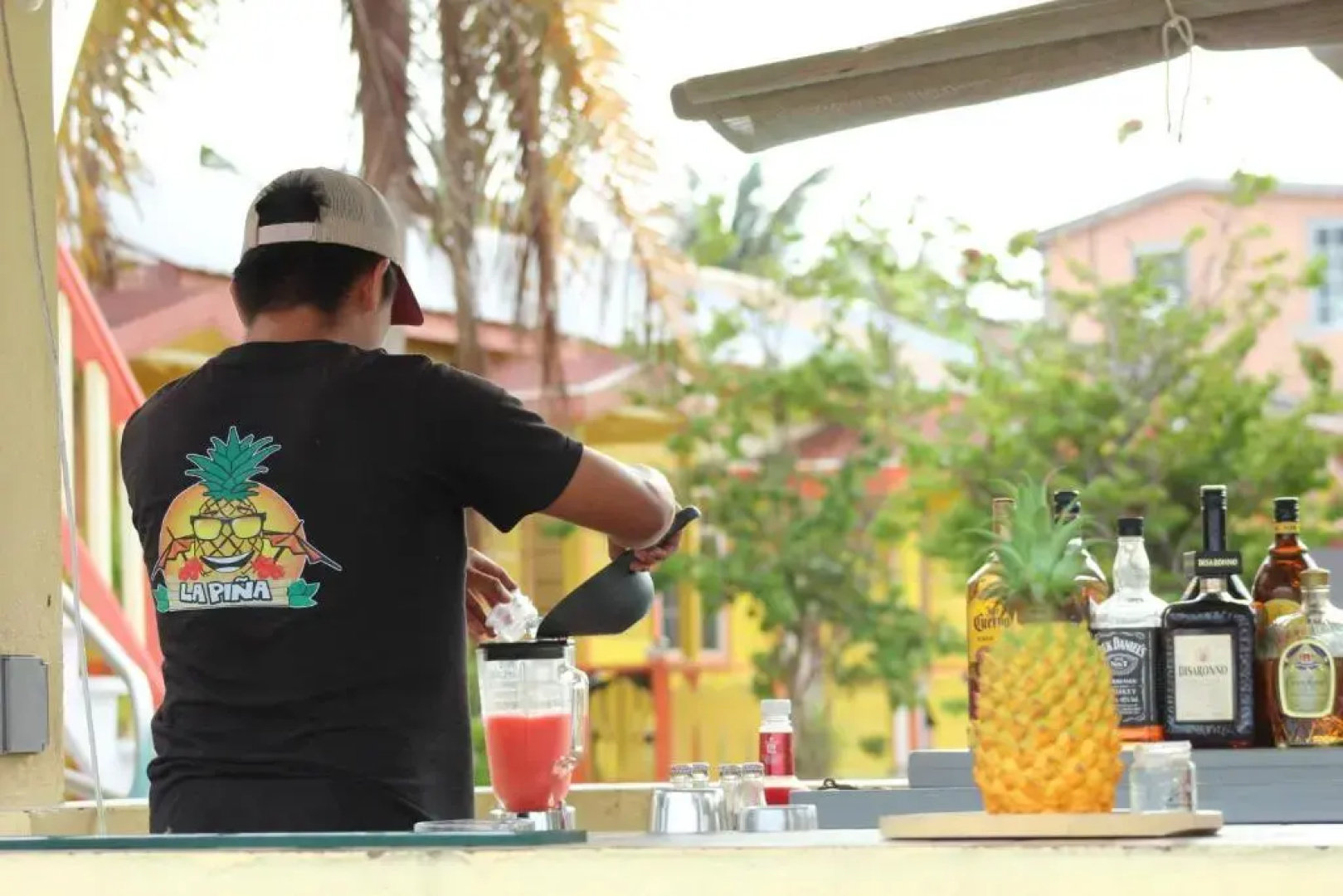 Tropical Paradise Express