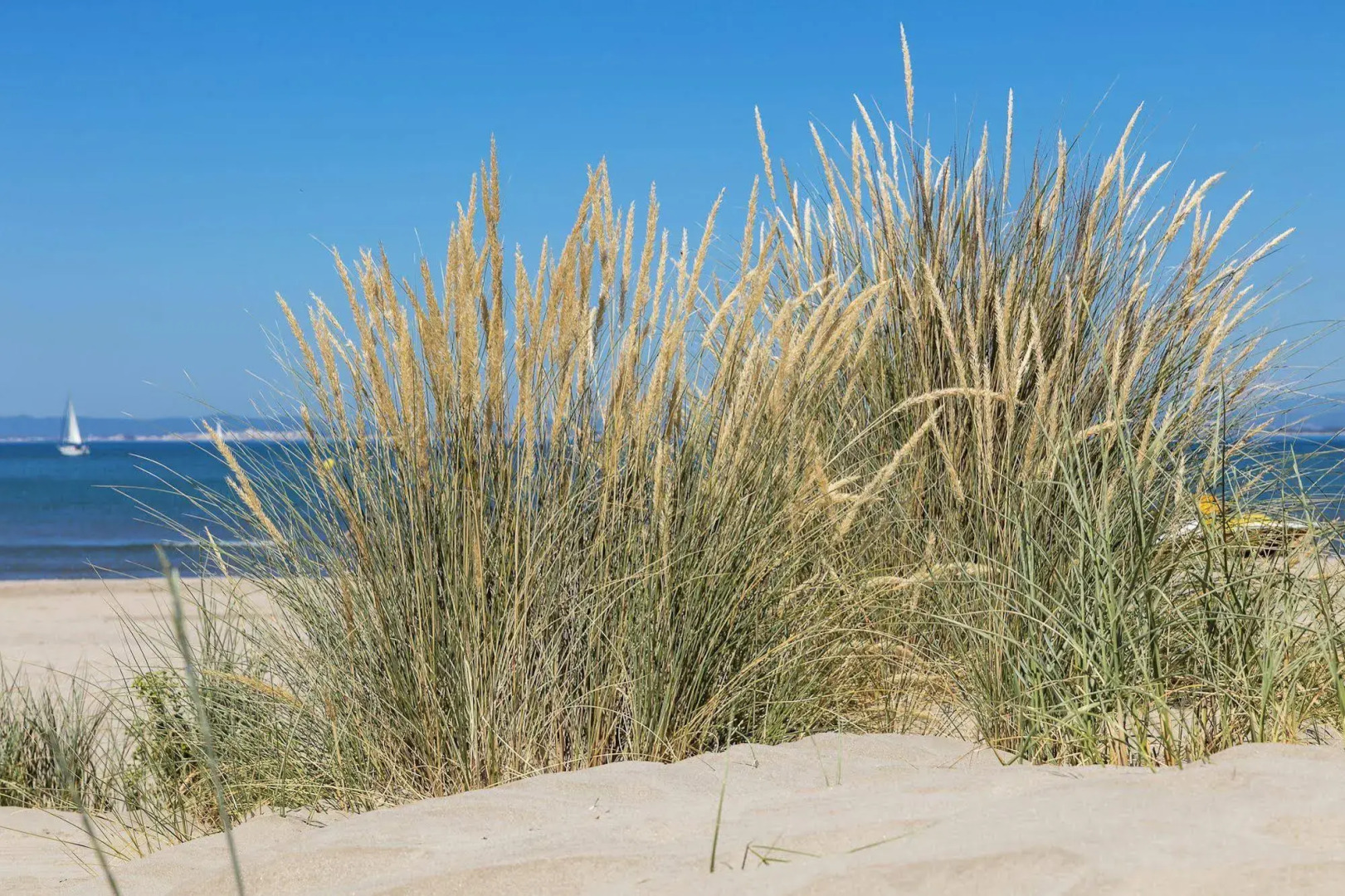 Hôtel & Spa - Thalazur Port Camargue