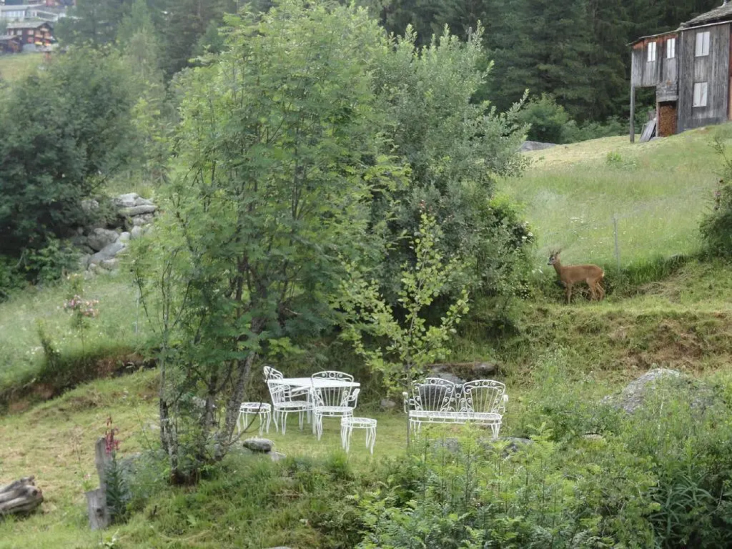 Chalet Sven & Marc Grächen/St. Niklaus VS