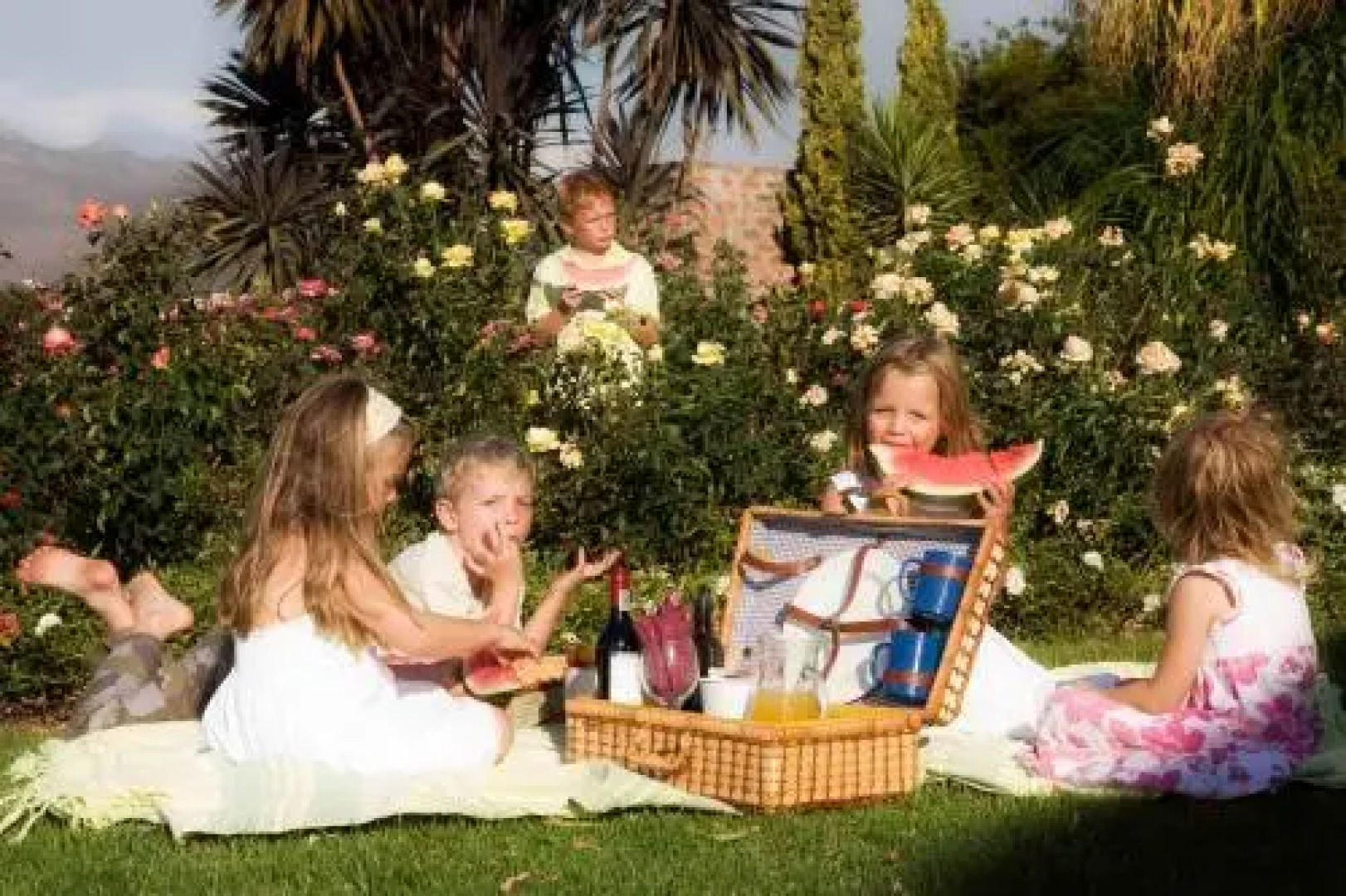 Waterside Le Bonheur Croc Farm